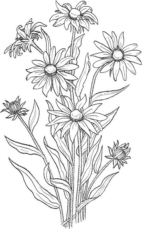 Desenhos De Flores Para Imprimir E Colorir Dicas Práticas Flower