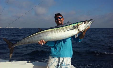 Florida Fishing Report February Action On Wahoo Tuna And Sailfish
