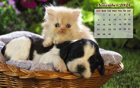 November Calendar Wallpaper 2021