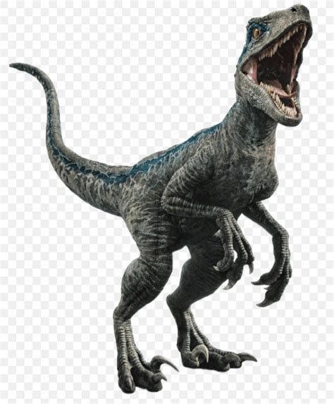 Velociraptor Owen Jurassic World Evolution Dinosaur Jurassic Park Png 804x993px Velociraptor