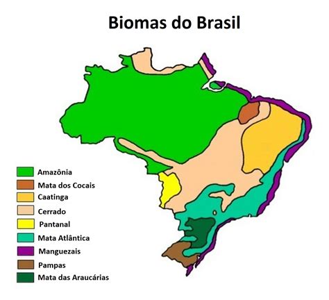 Mapa Sobre Os Biomas Do Brasil