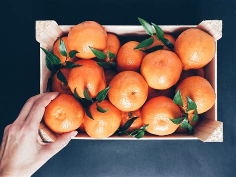 How To Store Cuties Mandarins Storables