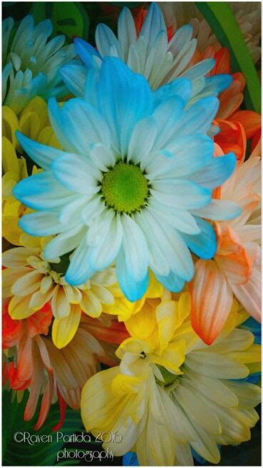 I also learned merchandizing, floral design, and customer service. Walmart flowers Modesto, California #rpphotography # ...