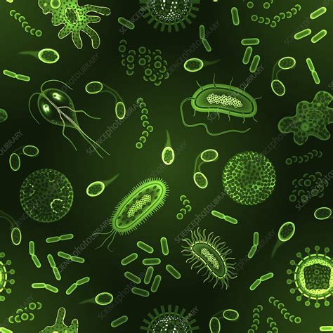 Microbes Illustration Stock Image F0198358 Science Photo Library