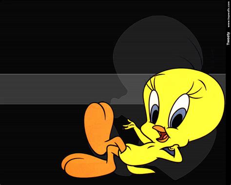 Tweety Bird Wallpaper Tweety Bird Wallpaper 6041231 Fanpop