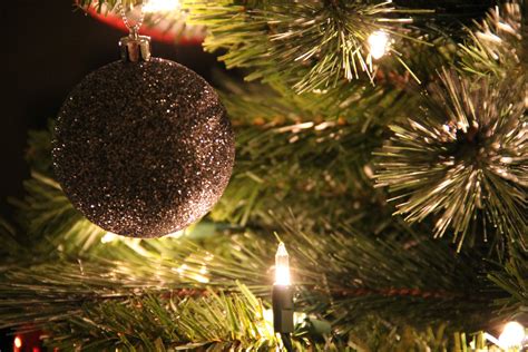 Free Stock Photo Of Close Up Of Christmas Tree With Silver Ball Ornament