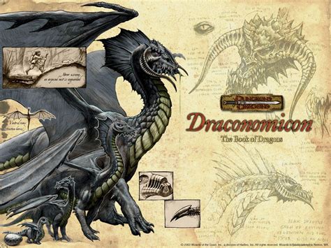 Draconomicon Forgotten Realms Dnd Dragons Cool Dragons Dungeons And