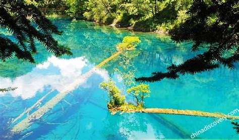 Jiuzhaigou In Summer Weather Scenery Packing List And Travel Tips
