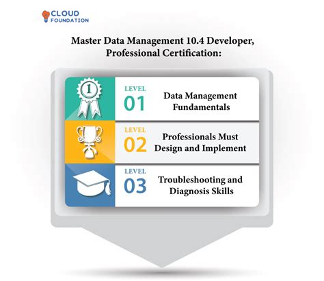 Informatica Mdm Certification Become A Data Management Master