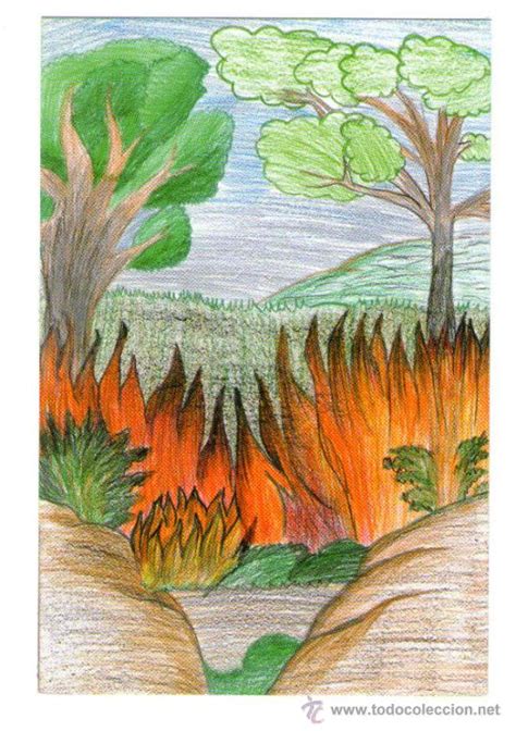 Dibujos y pinturas de pequeño y. postal dibujo de incendio forestal - publicidad - Comprar ...
