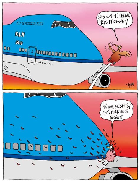 Cartoons Tvd Aviation Cartoons Aviation Humor Airline Humor Flight Attendant Humor