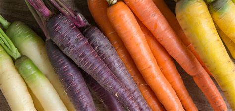 Multicolor Carrots Finally — True Carrot Flavor In A Rainbow Of