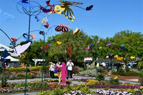 Butterfly Garden At The Flower Fields In Spring In Carlsbad California