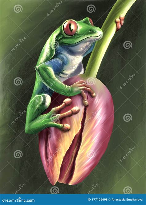 Beautiful Frog With Big Eyes Ai Generated Image Royalty Free Stock