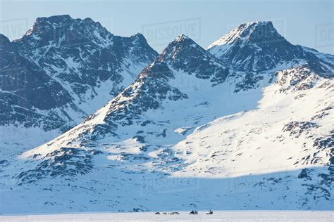Winter Landscape With Snow Covered Mountain And A Pack Of