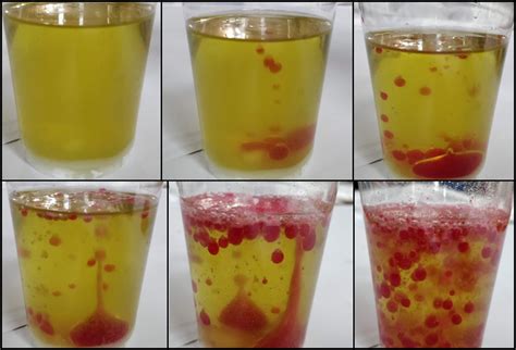 Snap your alka seltzer tablets into a few pieces with your fingers. How to make lava lamp without alka seltzer - Curious and ...