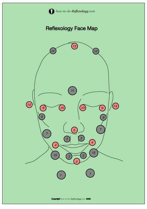 Face Reflexology Chart Including How To Do Reflexology Step By Step So You Can Start Today