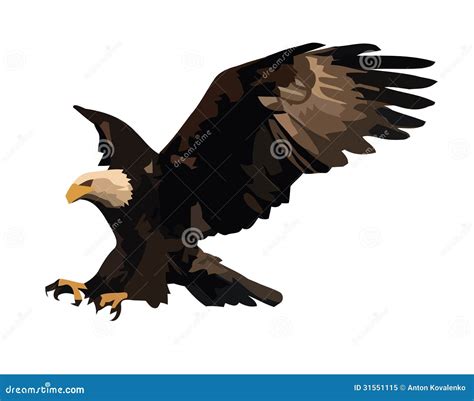 Eagle Landing Stock Vector Illustration Of American 31551115