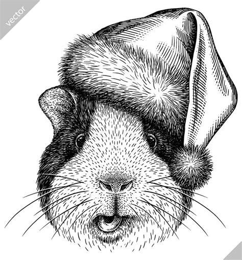 Black And White Engrave Isolated Guinea Pig Vector Illustration Stock