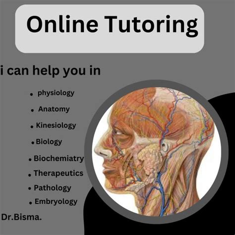 Be Your Tutor For Physiology Biology Anatomy By Drbismagulzar12 Fiverr