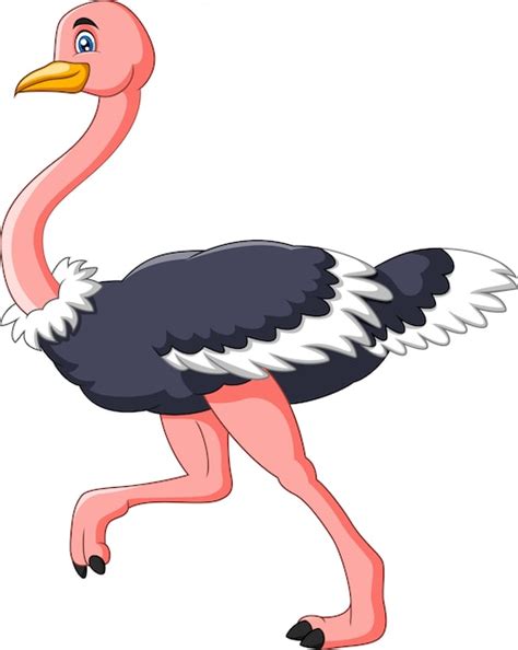 Premium Vector Cartoon Cute Ostrich A Running