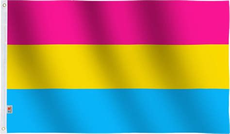 rhunt pansexual flag 3x5ft lgbt pansexuality omnisexuality pride banner fade resistant dye