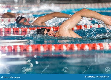 Three Male Swimmers Doing Free Style In Different Swimming Lanes Stock
