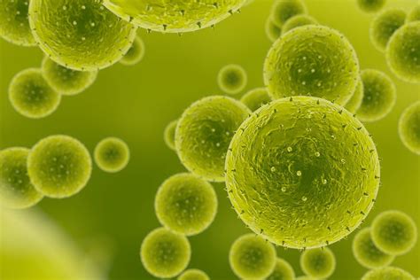 Les Microbes Nos Ennemis à Tous Combattons Les Blog Médical