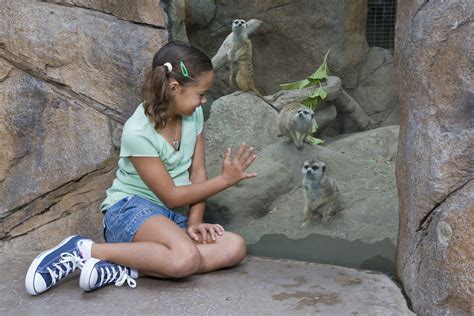 San Diego Zoos Childrens Zoo Ocean Park Inn