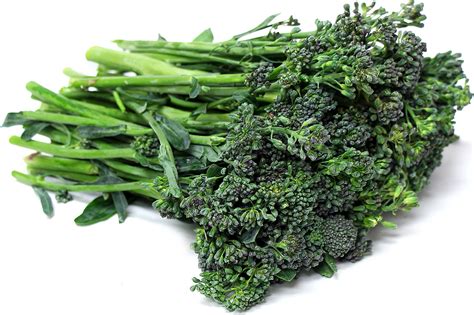 Organic Broccolini Aspirations Information And Facts