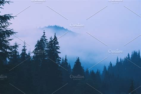 Misty Mountain Landscape Stock Photo Containing Forest And Fog High