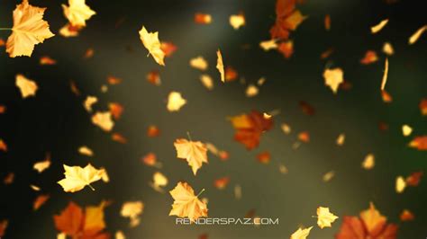 Autumn Leaves Falling Animation 1280x720 Wallpaper