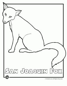About the animals coloring pages. Endangered Animals Coloring Pages: Animals from North America, the Rainforest & the Ocean ...