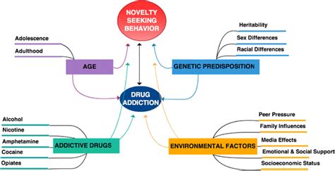 Novelty Seeking and Drug Addiction in Humans and Animals: From Behavior ...