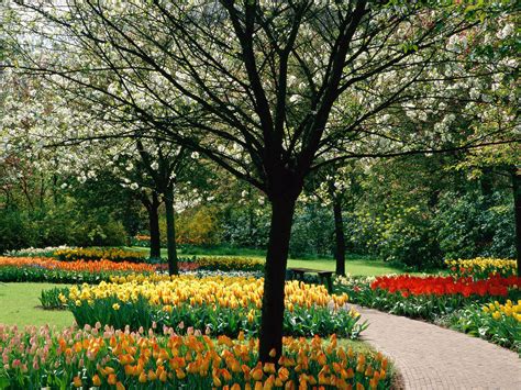 wallpapers: Spring Desktop Wallpapers and Backgrounds