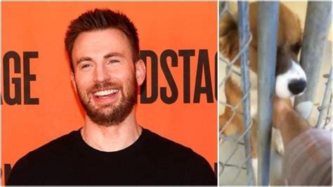 Chris Evans Shares Adorable Video Of The First Time He Saw His Dog