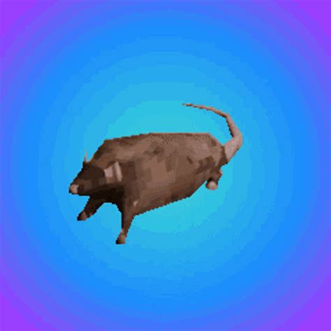 Rat Spinning Rat By Masonmartines123 On Deviantart
