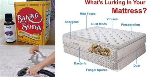 We show you how to clean a mattress to get it looking good as new. What's Lurking in Your Mattress? - Live Healthy With Patty