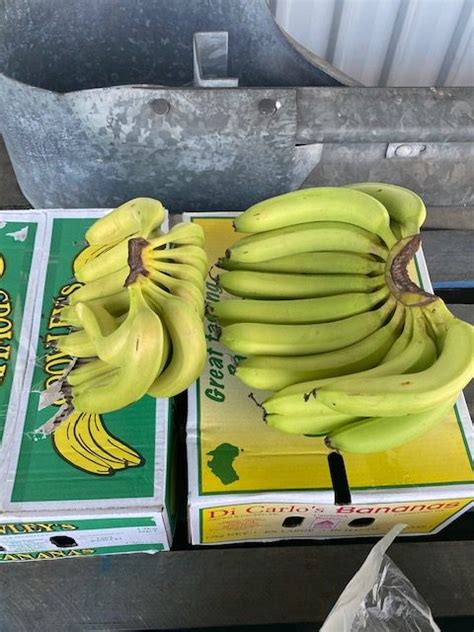 21 7 20 Bananas 1 Martins Produce