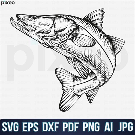 Snook Fishing Svg Fishing Svg Snook Fish Svg Snook Clipart Snook