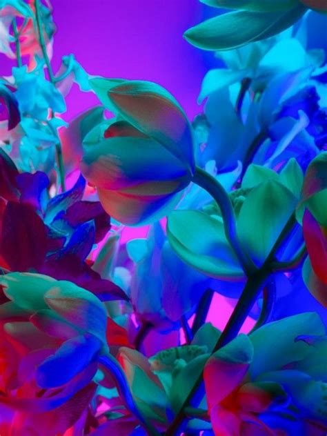 Couleur Magnifique Neon Flowers Neon Aesthetic Color Photography