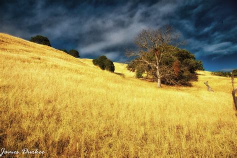 Golden Hills Of California Rolling Golden Hills East Of Flickr