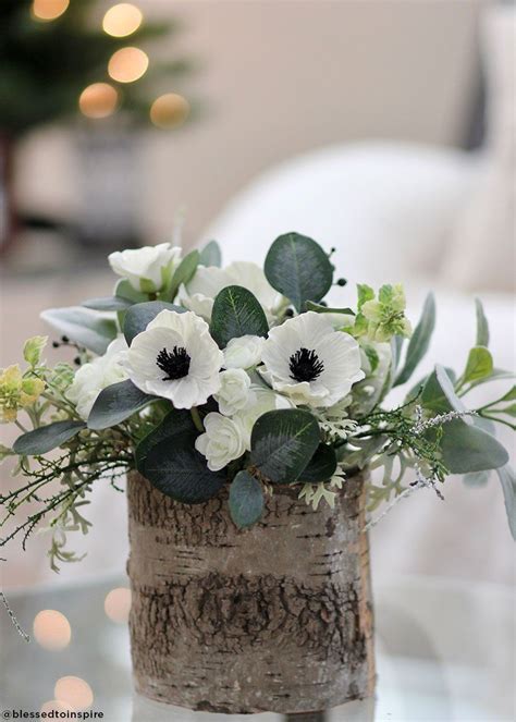 515 x 412 jpeg 62 кб. Wonderful soft touch anemones are the start to all great ...