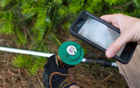 October 6, 2020 2:34:50 pm pdt. Home Pest Control For Laurel, Hattiesburg & Mississippi