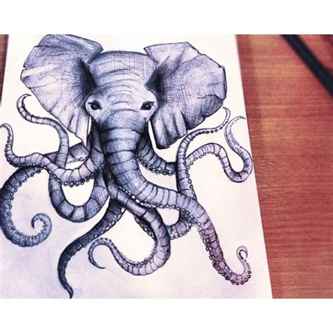 Elephant Octopus Octopus Drawing Indian Elephant Tattoo Elephant