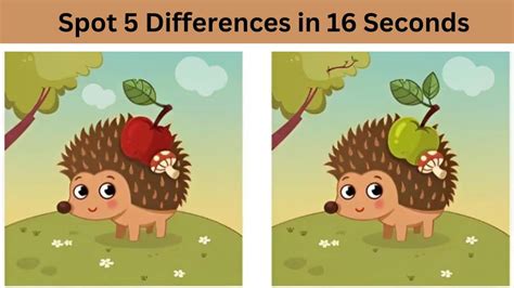Spot The Difference Can You Spot 5 Differences Within 16 Seconds