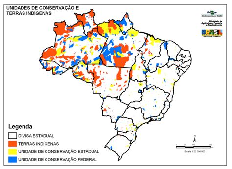 Antropólogos Brasileiros Divulgam Manifesto Sobre Demarcação De Terras Indígenas