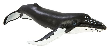 Buy Safari Ltd Wild Safari Sea Life Humpback Whale Realistic Hand