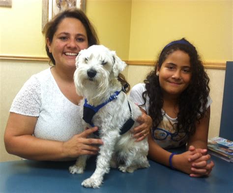 Our veterinary clinic and animal hospital is run by enrique cruz. Pin by 1st Pet Veterinary Centers on 1st Pet Patients ...