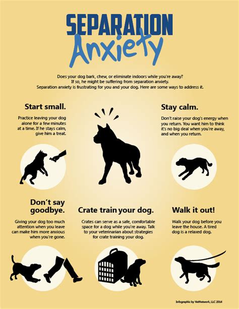 Pet Infographics